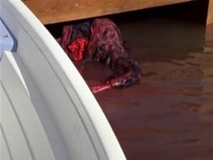 Poster for Water Hazard