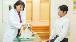 Poster for Episode 3