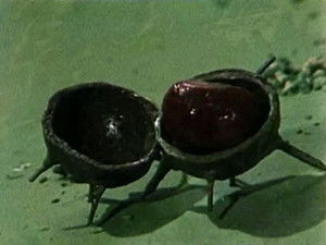 Poster for The Conkering Hero