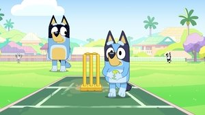 Poster for Cricket
