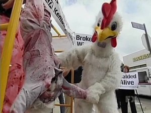 Poster for Animal Rights