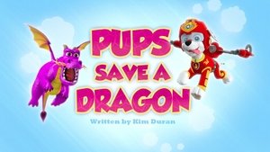 Poster for Pups Save a Dragon