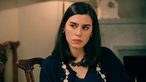 Poster for Episode 216