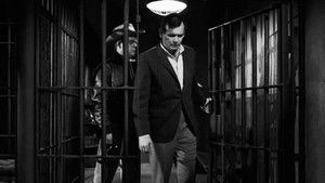 Poster for Nicest Fella You'd Ever Want to Meet