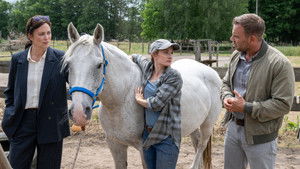 Poster for Episode 15