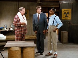 Poster for The Looney Bin