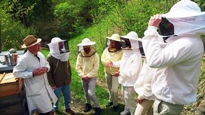 Poster for Austria Tours Poster for Austria Tours