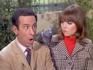 Poster for Spy, Spy, Birdie