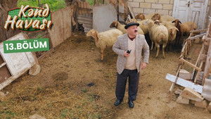 Poster for Episode 13