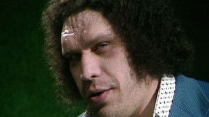 Poster for WCCW - January 15, 1983