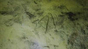 Poster for Cone E Island