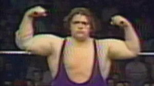 Poster for All Star Wrestling - May 16, 1981