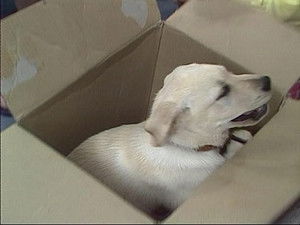 Poster for Scott, Charlene, and Mike at the Beach