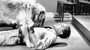 Poster for Barney's Bloodhound