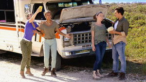 Poster for Ever in the Everglades