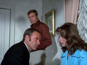 Poster for The Solid Gold Kidnapping (2)