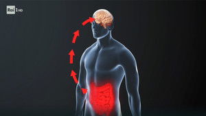 Poster for Xylella, the brain-gut link, and private astronauts Poster for Xylella, the brain-gut link, and private astronauts