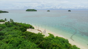 Poster for Episode 41