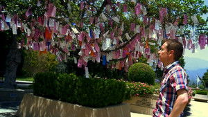 Poster for 31/01/2015