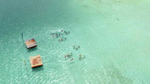 Poster for Episode 13 Poster for Episode 13