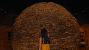 Poster for Ball of Twine (Kansas) (1)