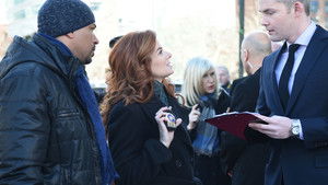 Poster for The Mystery of the Deceased Documentarian