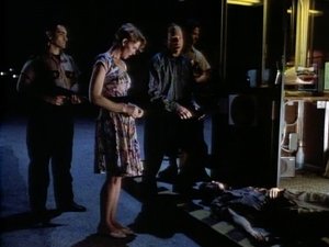 Poster for Hide in the Night
