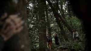 Poster for Lovecraft's Woods
