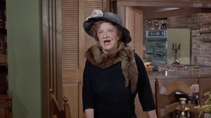 Poster for Bewitched, Bothered and Infuriated