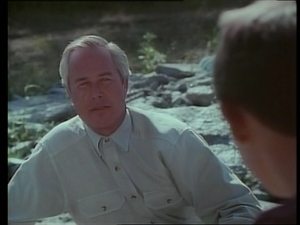 Poster for Stranger in Possum Meadows