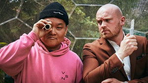 Poster for Who is the Swede?