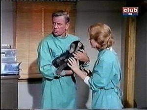 Poster for The Chimp Who Went Ape