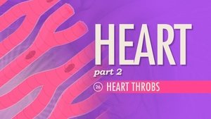 Poster for The Heart, Part 2 - Heart Throbs