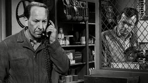 Poster for Everybody Gets Hit in the Mouth Sometime