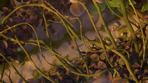 Poster for Episode 19 Poster for Episode 19