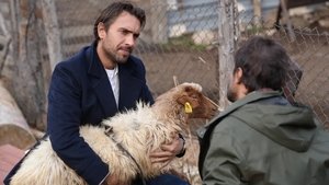 Poster for Episode 5 Poster for Episode 5