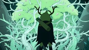 Poster for The Crocodile Who Bit a Log