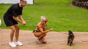 Poster for Episode 25 Poster for Episode 25