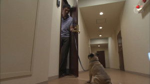 Poster for So What If I Hate Dogs?!