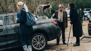 Poster for The Theory of Everything