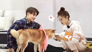 Poster for Episode 8