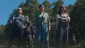 Poster for The Reunion