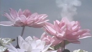 Poster for The Milennium Lotus Blossomed on Garbo