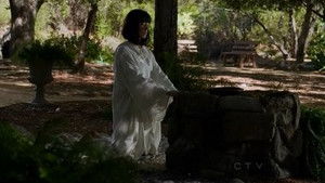 Poster for Perennials