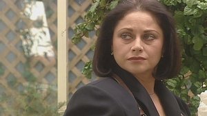 Poster for Meetings in the Garden Poster for Meetings in the Garden