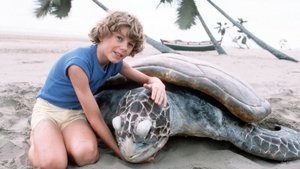 Poster for The Boy Who Talked with Animals