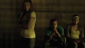 Poster for The Wheels on the Bus...