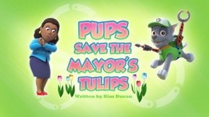 Poster for Pups Save the Mayor's Tulips