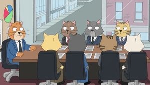 Poster for Cat Staff Meeting