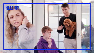 Poster for The fake Baloo